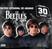 THE BEETLES ONE